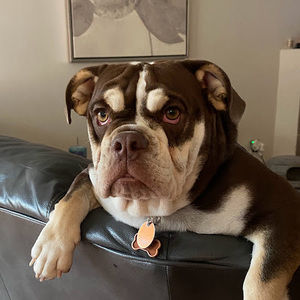 Meet your Posher, Courtney larue